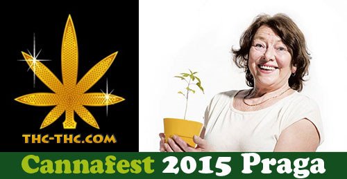 CannaFest 2015 Praga   Relacja Sklepu THC THC, Dutch Seeds