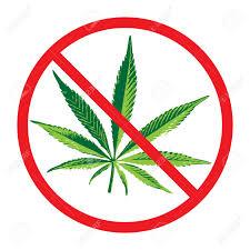 marihuana-zakaz-przestepstwo-1
