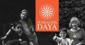 Fundacja Daya i pierwsza legalna uprawa konopi medycznej w Chile, Dutch Seeds