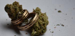 Nowy trend w USA   marihuanowe wesela, Dutch Seeds