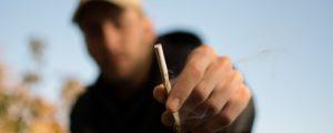 Czy palenie trawki doprowadza do bezrobocia?, Dutch Seeds