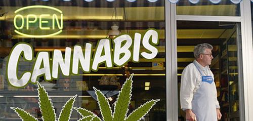 Pierwszy Cannabis Bank Powstanie w Kolorado, Dutch Seeds