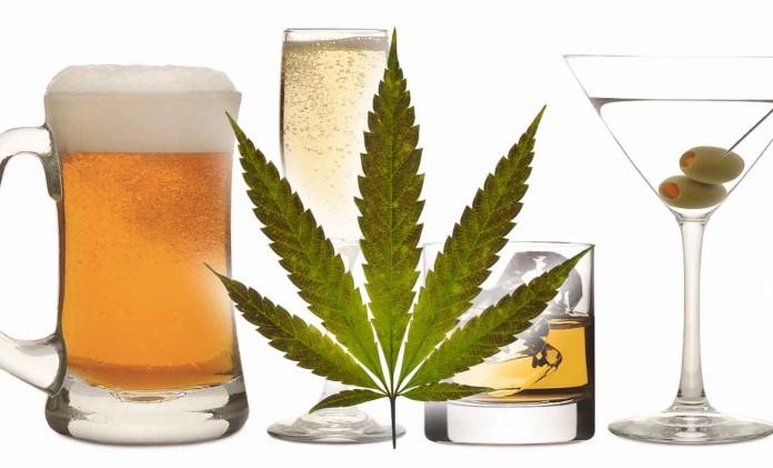 Palacze marihuany 5 razy bardziej narażeni na rozwój problemów z alkoholem, Dutch Seeds