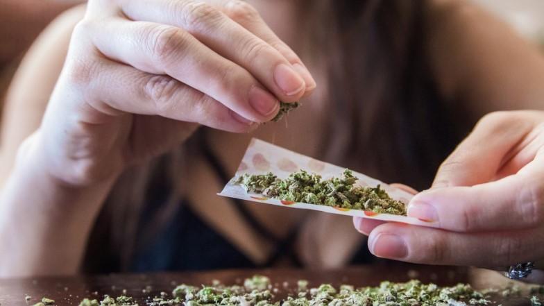 Coraz Więcej Przypadków Fałszywej Marihuany, Dutch Seeds