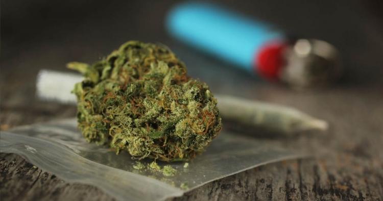 Czy palenie marihuany jednak zwiększa liczbę plemników?, Dutch Seeds