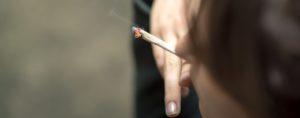 Palenie marihuany zamiast palenia papierosów?, Dutch Seeds